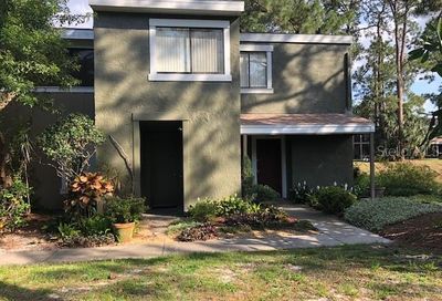 6050 Peregrine Avenue Orlando FL 32819
