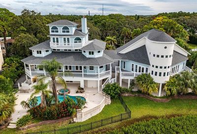 504 Hillsborough Street Palm Harbor FL 34683