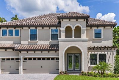 103 Mossy River Court Brandon FL 33511
