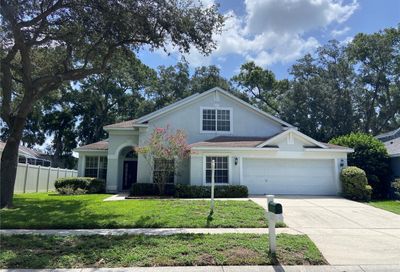 2927 Minuteman Lane Brandon FL 33511