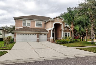 1301 Rowantree Drive Dover FL 33527