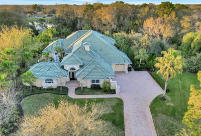 2502 Mexican Sun Drive Lutz FL 33559