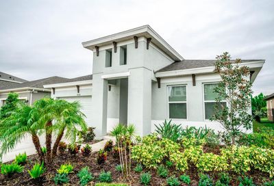 6126 Colmar Place Apollo Beach FL 33572