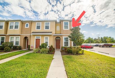 7048 Spotted Deer Place Riverview FL 33578