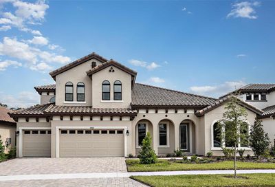 14462 Swiss Bridge Drive Riverview FL 33579