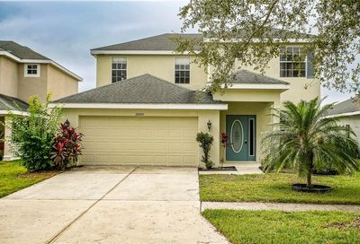 20005 Nob Oak Avenue Tampa FL 33647