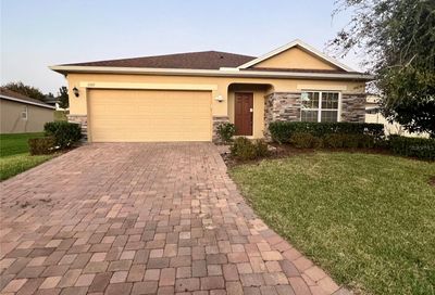 11317 Little Nellie Drive Clermont FL 34711