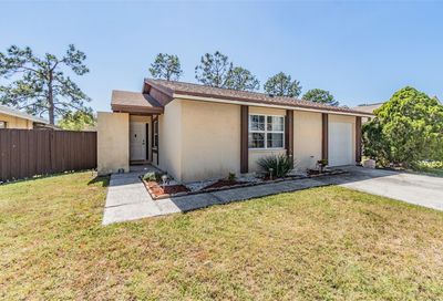 5104 Stonehaven Court Tampa FL 33624