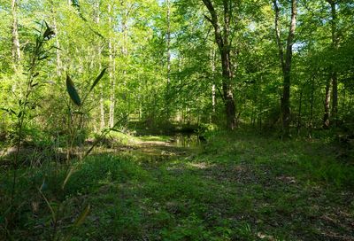 Lakewood Park Rd Beechgrove TN 37018