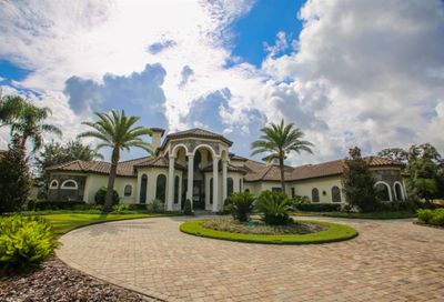 9829 Milano Drive Trinity FL 34655