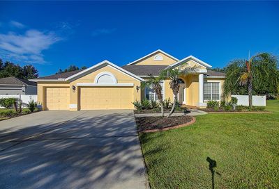 12376 Creek Edge Drive Riverview FL 33579