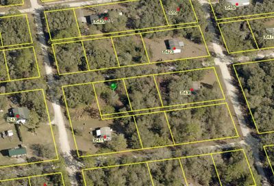 35406 Holmes Street Webster FL 33597