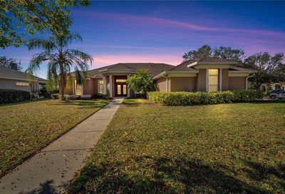 2924 Hillside Ramble Drive Brandon FL 33511