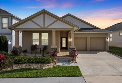 6355 Flat Lemon Drive Winter Garden FL 34787