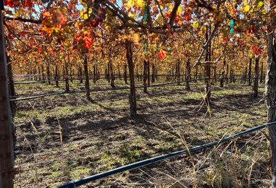 County Road 17 Woodland CA 95695