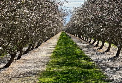 21305 Road 16 Chowchilla CA 93610