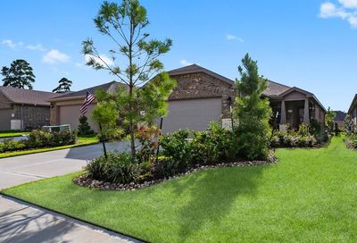 421 Thistle Thorn Drive Spring TX 77382