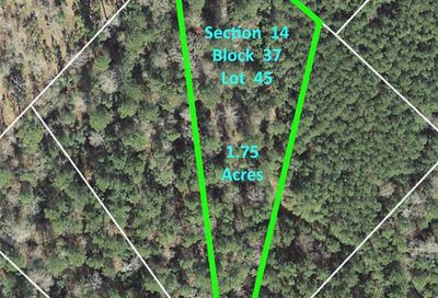 14-37-45 Larkspur Lane Huntsville TX 77358