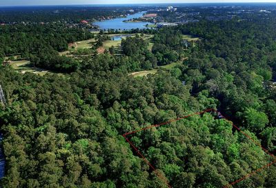 Lot 51-E Mcdonald Road The Woodlands TX 77380