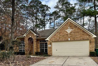 101 Summer Lark Place The Woodlands TX 77382