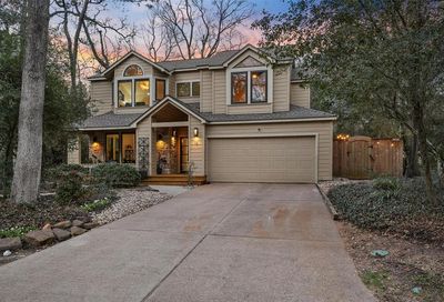 18 Twisted Birch Place Court The Woodlands TX 77381