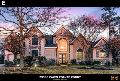 25306 Fawn Pointe Court Spring TX 77389