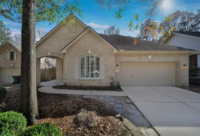 14 Robindale Circle The Woodlands TX 77384