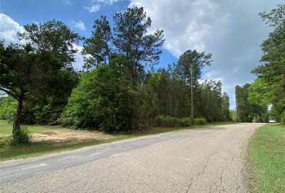 W Danville Rd Radial Willis TX 77318