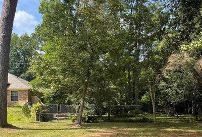Pine Canyon Spring TX 77380