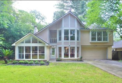 56 N Morningwood Court The Woodlands TX 77380