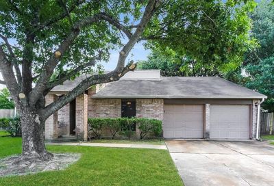 1102 New Tree Lane Missouri City TX 77489