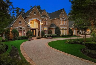 54 Palmer Woods Drive The Woodlands TX 77381