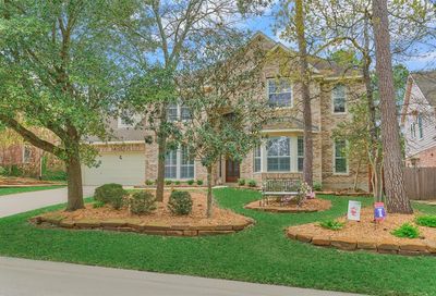 19 E Artist Grove Circle The Woodlands TX 77382
