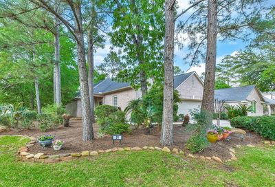 50 Silkbay Place The Woodlands TX 77382