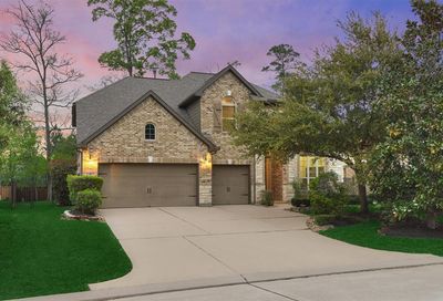 38 Langstone Place Spring TX 77389