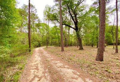 30118 Taylor Road Magnolia TX 77354