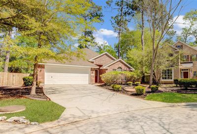 27 Grand Bayou Place The Woodlands TX 77382