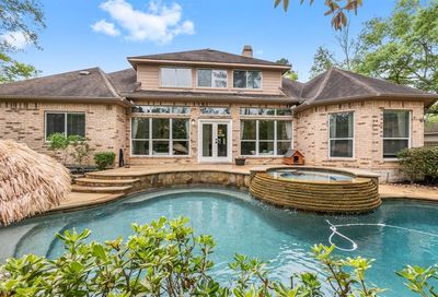 122 Marlberry Branch Court The Woodlands TX 77384