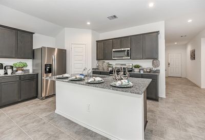1007 Lipizzan Lane Rosharon TX 77583