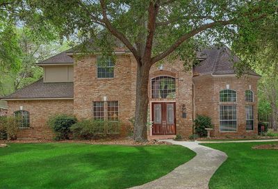 31 Shadeberry Place The Woodlands TX 77382