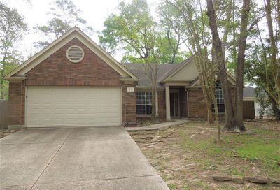 14 Lush Meadow Place The Woodlands TX 77381