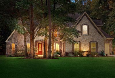 27707 Braydon Court Spring TX 77386