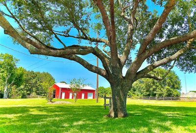 32804 Hepplewhite Drive Fulshear TX 77423