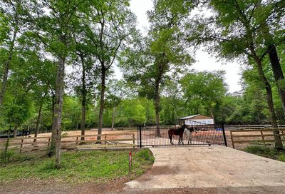 23419 Sweet Gum Drive Hockley TX 77447