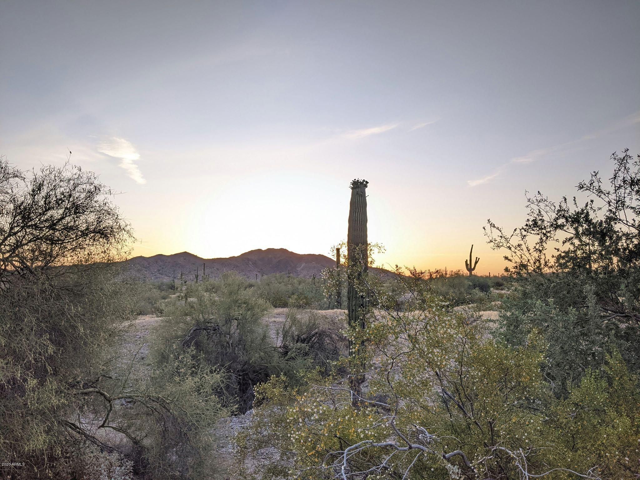 9750 S San Marcos Drive, Goodyear, AZ, 85338 9750 S San Marcos Drive