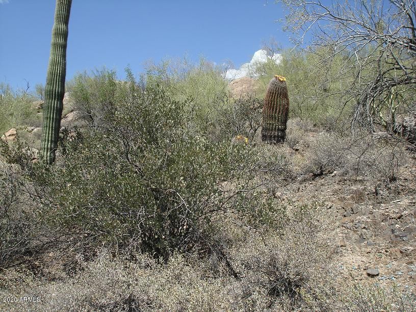 6630 E Military Road, Cave Creek, AZ, 85331 6630 E Military Road
