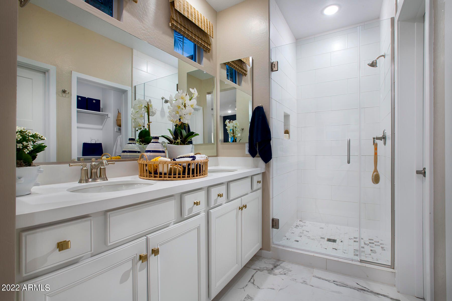 1103 W Diamondback Drive