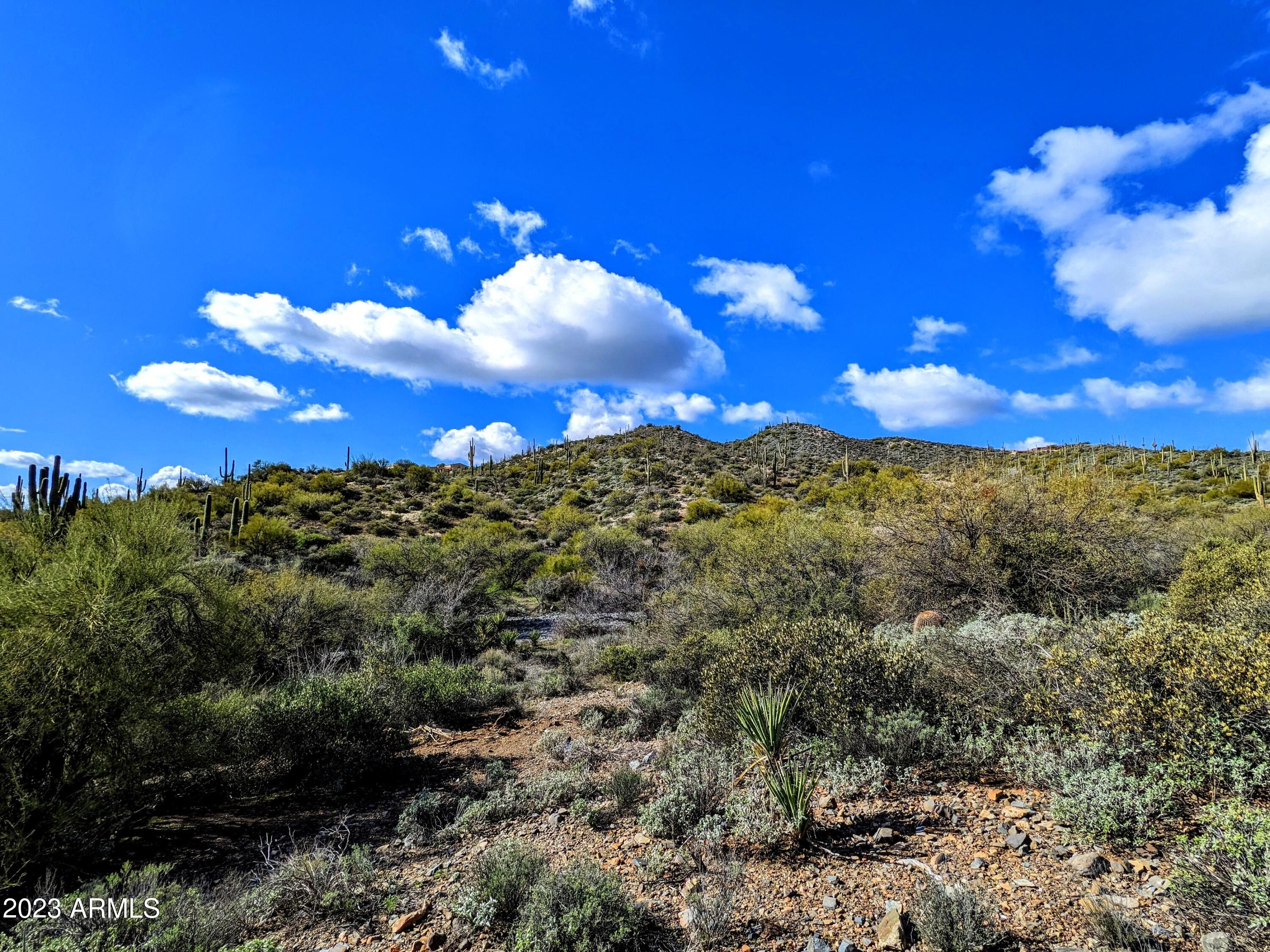 42004 N Chiricahua Pass
