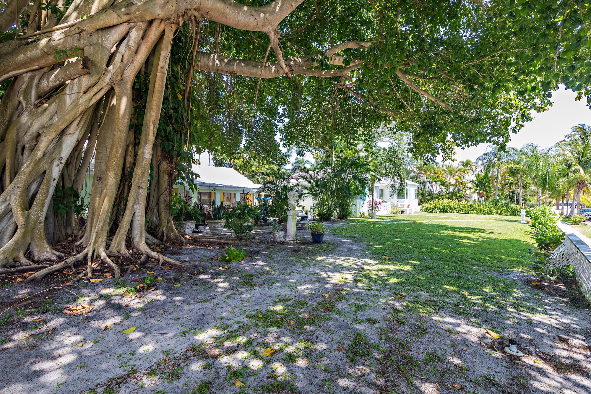 Properties 243 29th Street