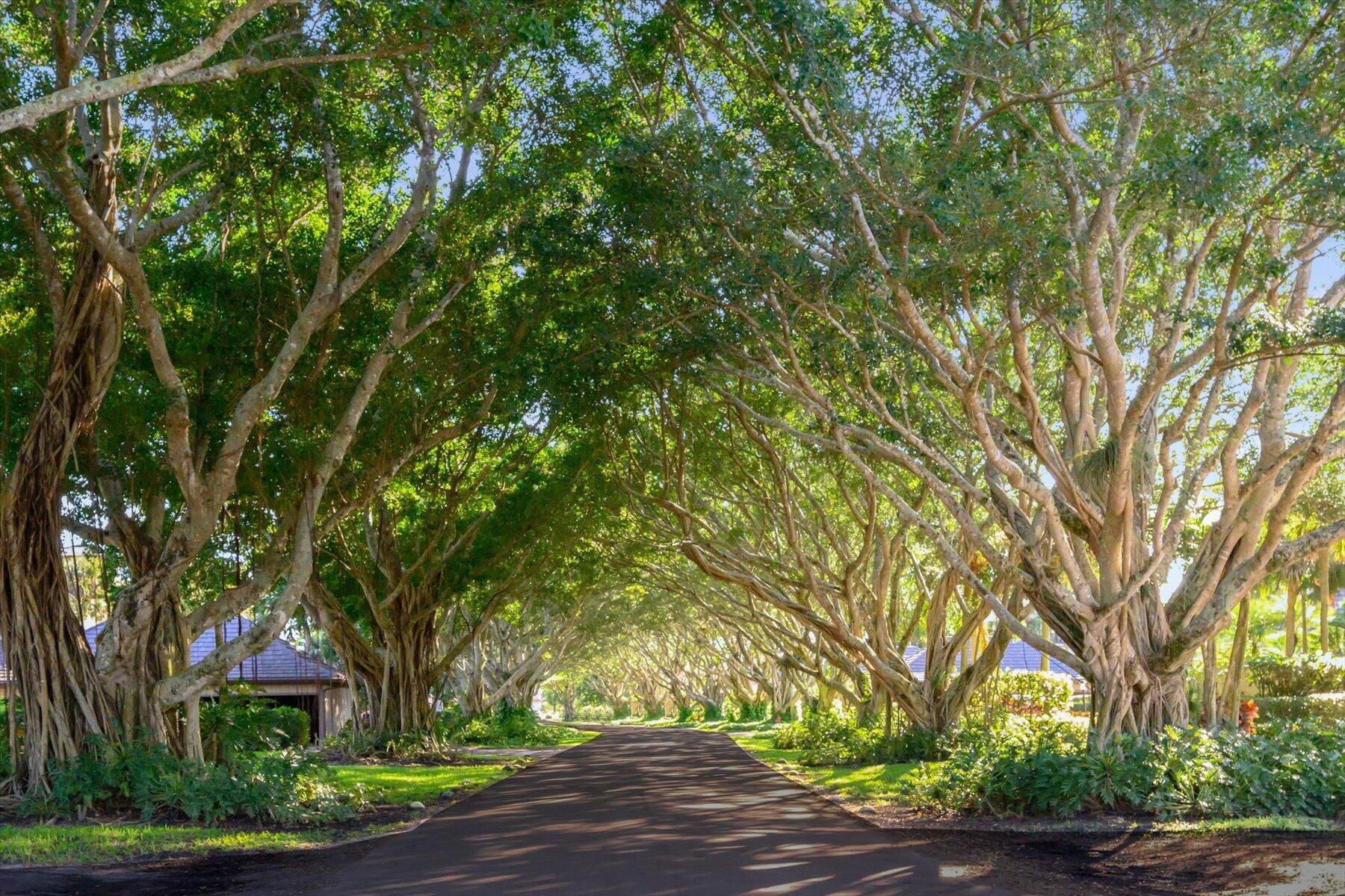Properties 2735 Polo Island Drive
